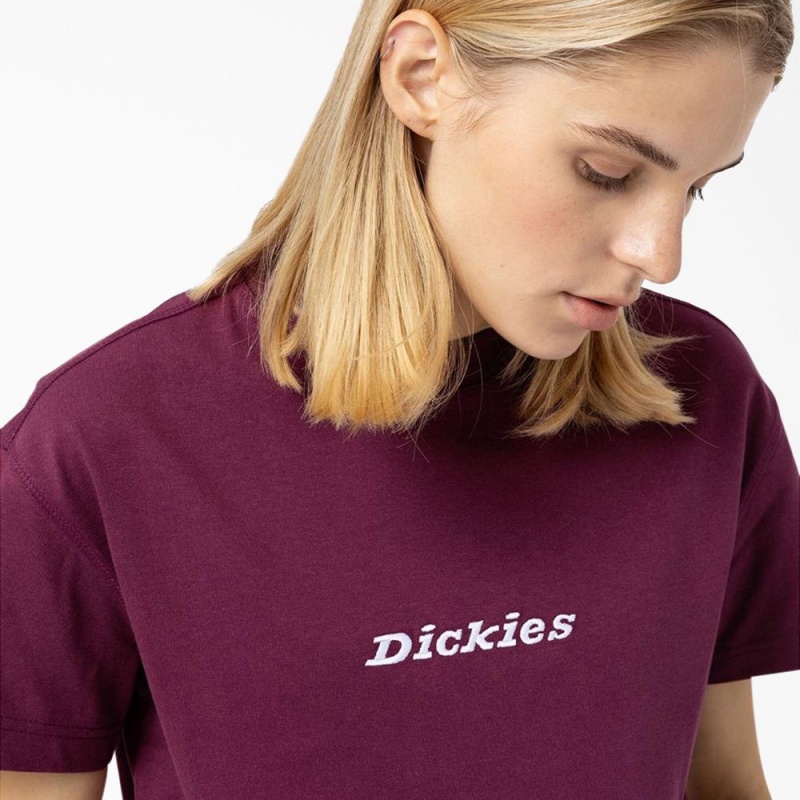 Women's Dickies Loretto Cropped T-Shirt Purple | 2967084-QI