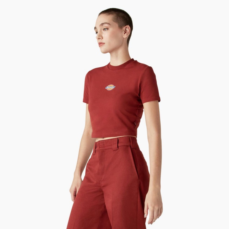 Women's Dickies Maple Valley Logo Cropped T-Shirt Red | 4275036-UI