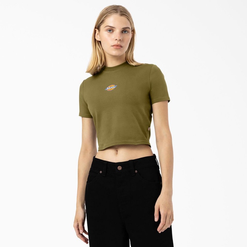 Women\'s Dickies Maple Valley Logo Cropped T-Shirt Green | 9386510-MC