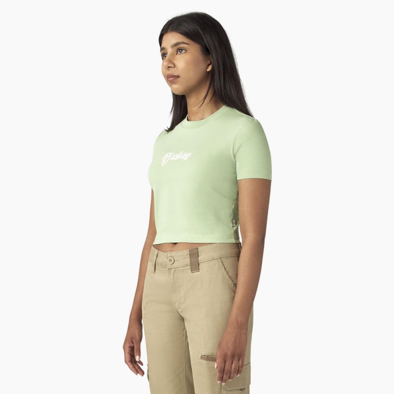 Women's Dickies Mayetta Cropped T-Shirt Green | 7820139-HI