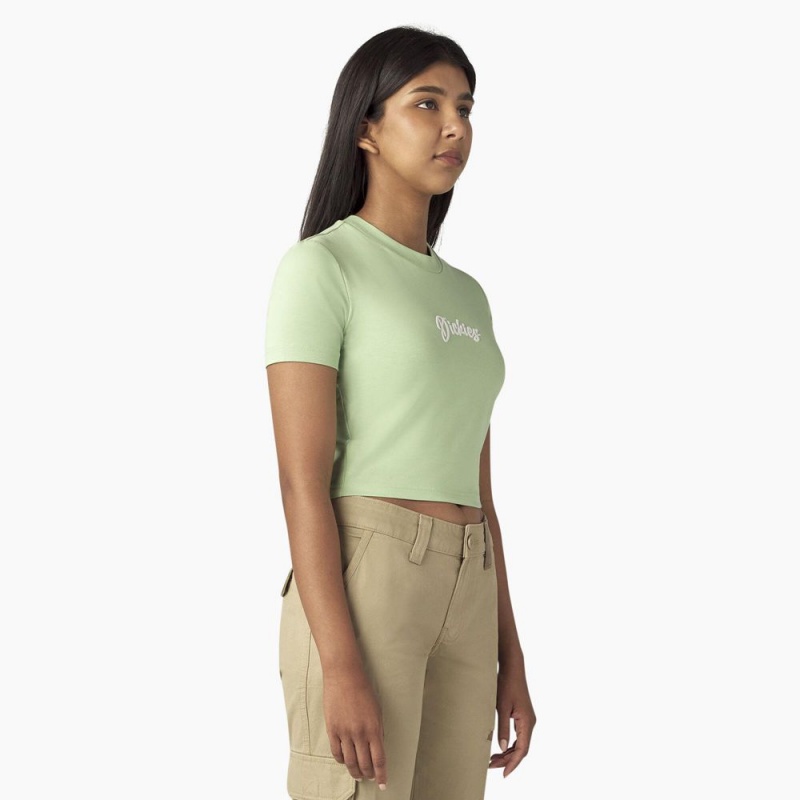 Women's Dickies Mayetta Cropped T-Shirt Green | 7820139-HI