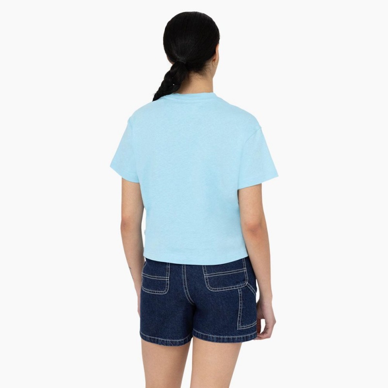 Women's Dickies Oakport Cropped T-Shirt Blue | 6870219-LA