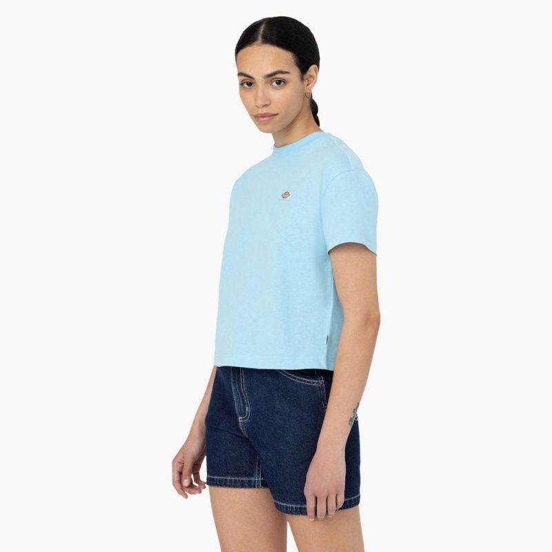 Women's Dickies Oakport Cropped T-Shirt Blue | 6870219-LA