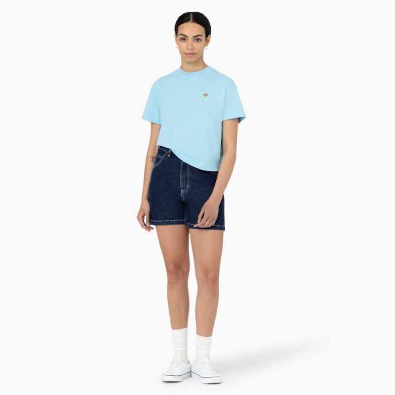 Women's Dickies Oakport Cropped T-Shirt Blue | 6870219-LA