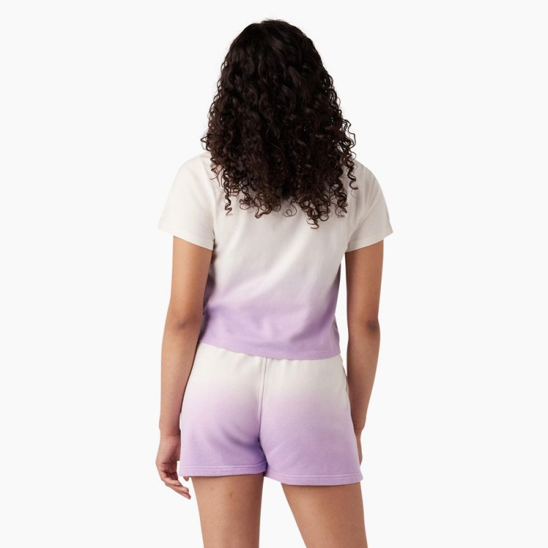 Women's Dickies Ombre Cropped T-Shirt Purple | 5710692-BN