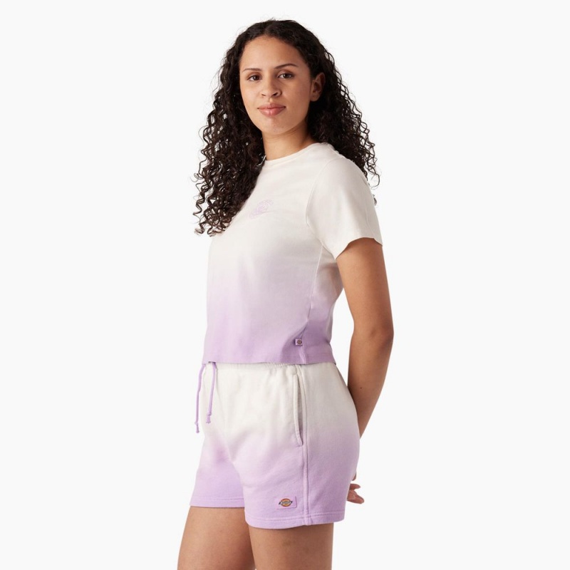 Women's Dickies Ombre Cropped T-Shirt Purple | 5710692-BN