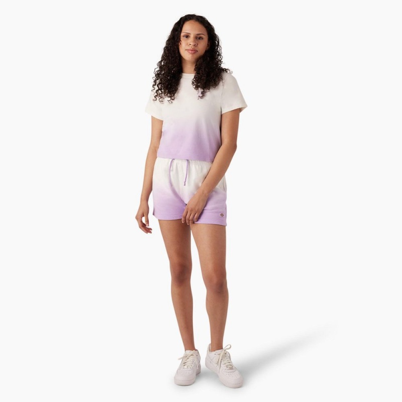 Women's Dickies Ombre Cropped T-Shirt Purple | 5710692-BN