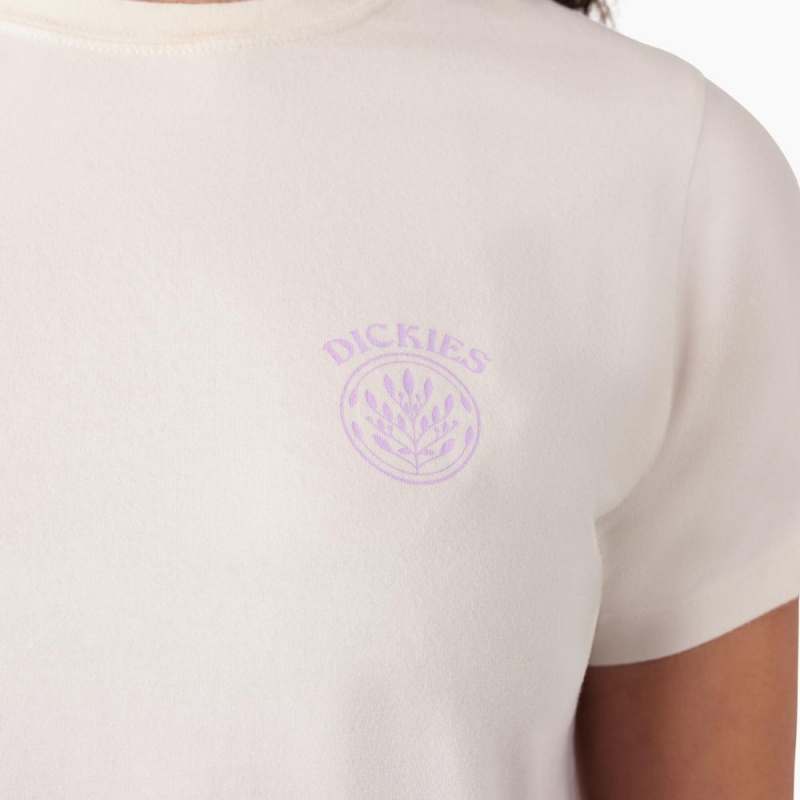 Women's Dickies Ombre Cropped T-Shirt Purple | 5710692-BN