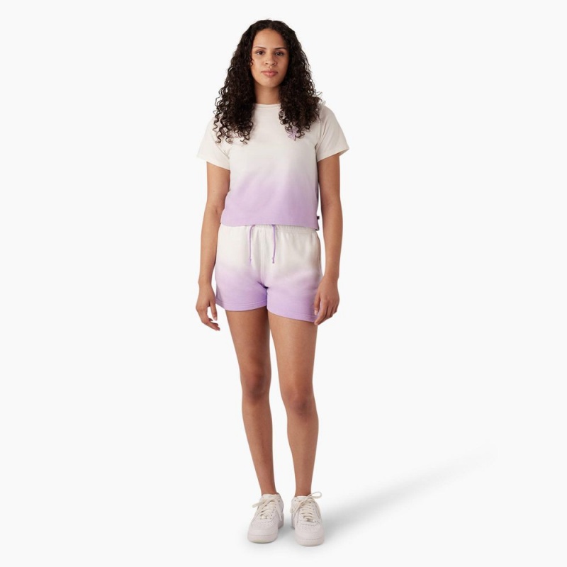 Women's Dickies Relaxed Fit Ombre Knit Shorts Purple | 3124657-UX