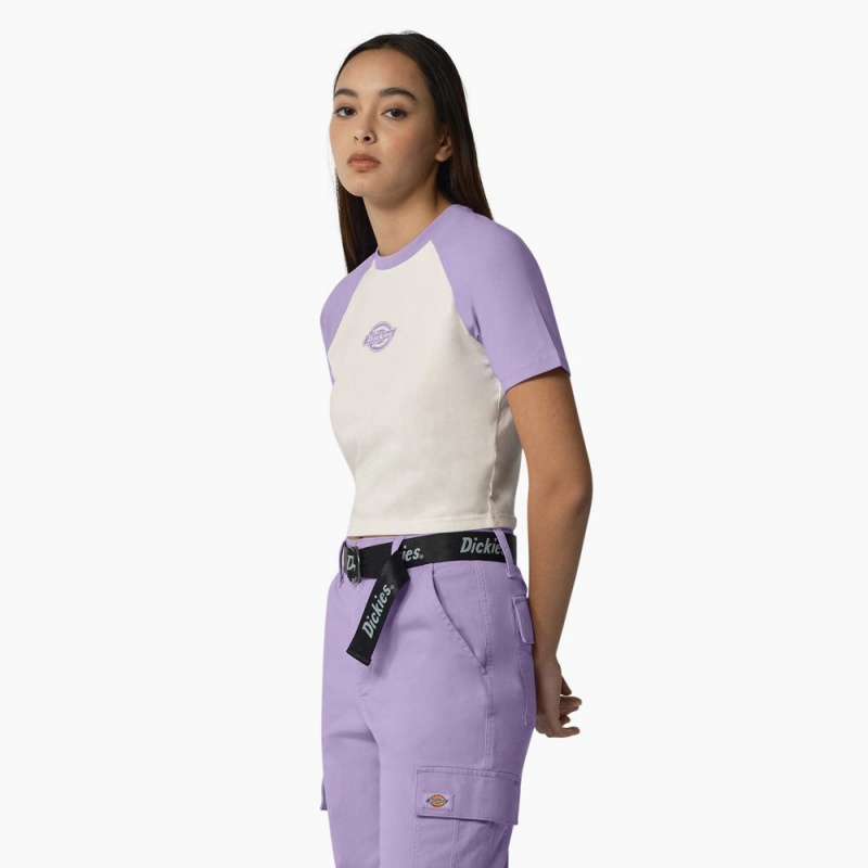 Women's Dickies Sodaville Cropped T-Shirt White | 8906124-JZ