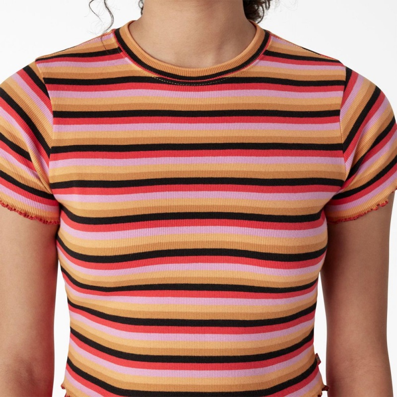 Women's Dickies Striped Cropped Baby T-Shirt Orange | 2936875-EH