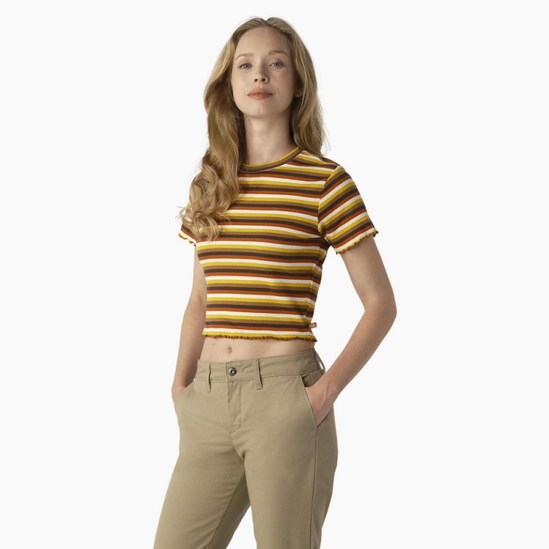 Women's Dickies Striped Cropped Baby T-Shirt Yellow | 9182765-RS