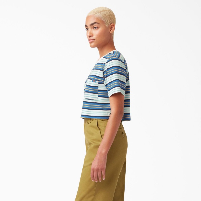 Women's Dickies Striped Cropped Pocket T-Shirt Blue | 8724165-BC