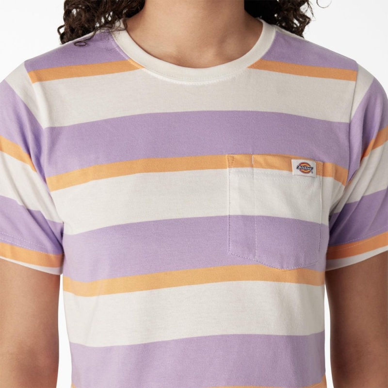 Women's Dickies Striped Cropped Pocket T-Shirt Purple | 8691342-LO