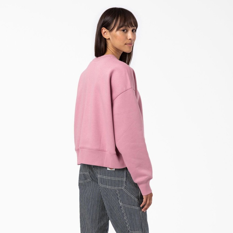 Women's Dickies Summerdale Sweatshirt Pink | 5302814-XC