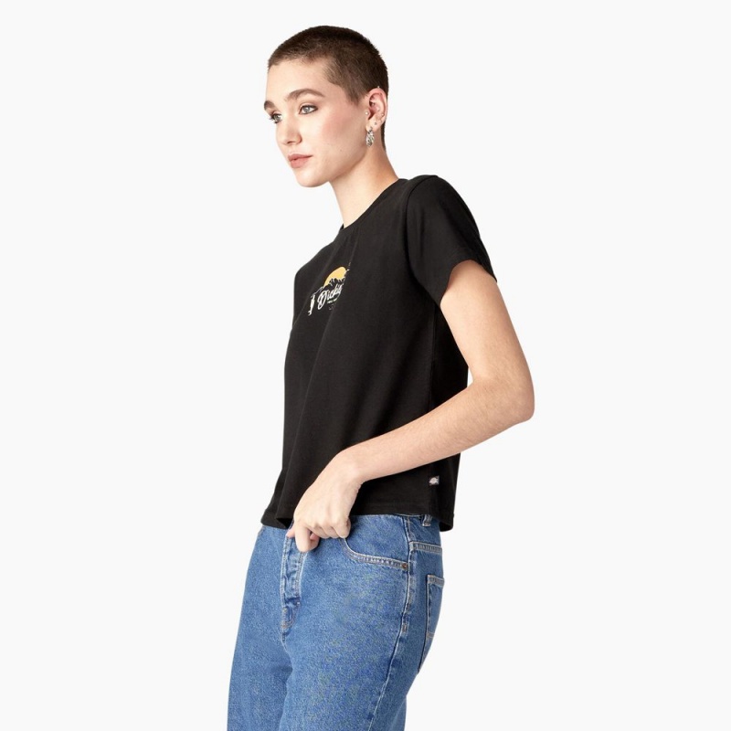 Women's Dickies Twill Ranch Graphic T-Shirt Black | 1357426-OE