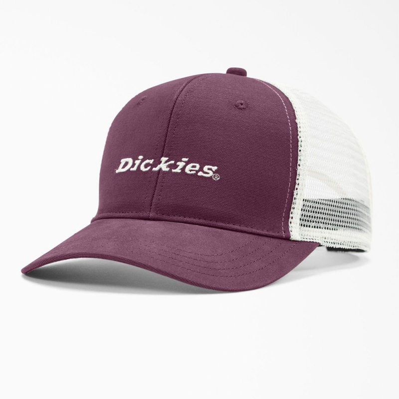 Women\'s Dickies Two-Tone Trucker Cap Purple | 7130695-ZN