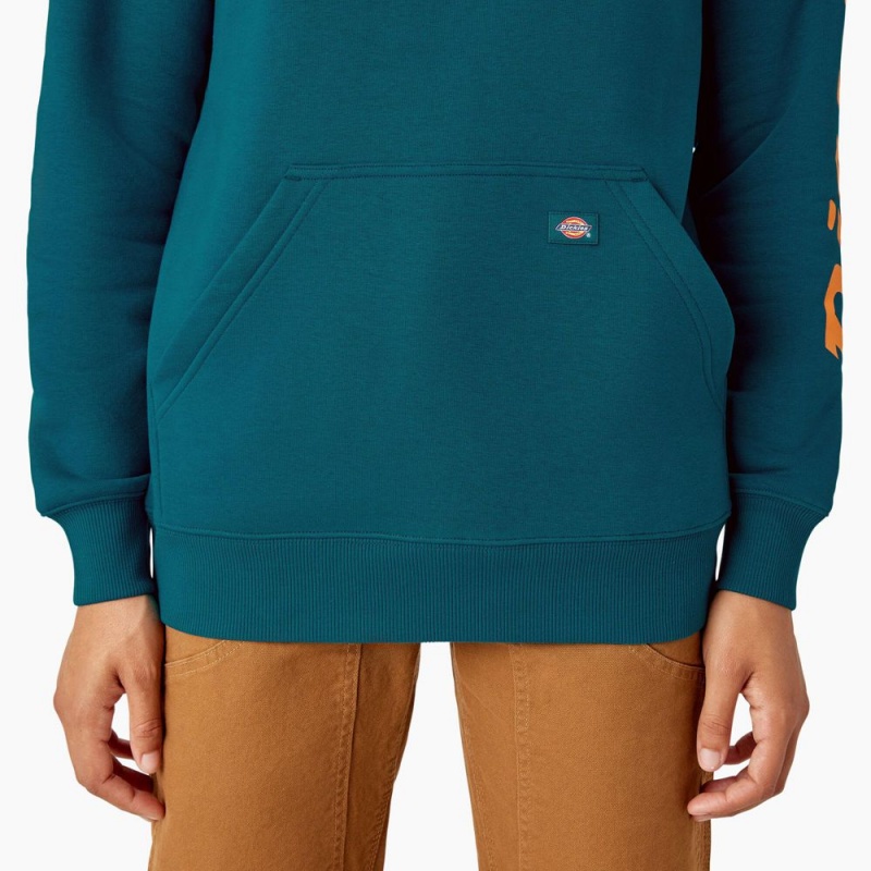 Women's Dickies Water Repellent Sleeve Logo Hoodie Blue | 9057231-DF